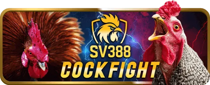 Cá cược thể thao 007win chính thức